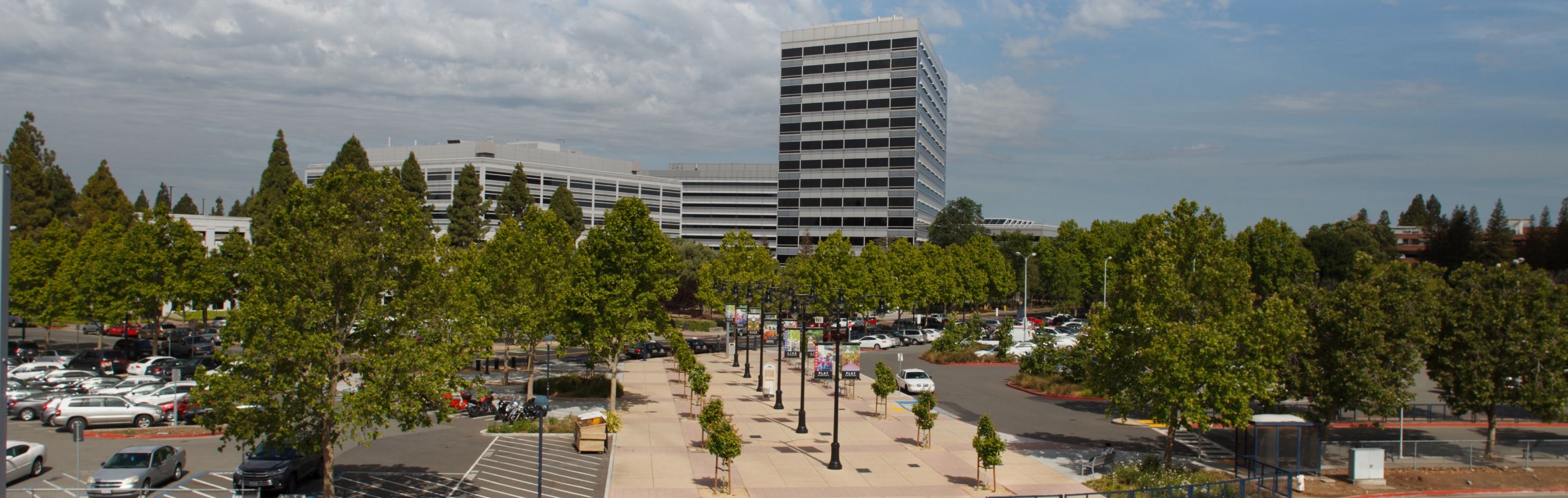 925 Area Code | Concord Local Phone Numbers | 8x8